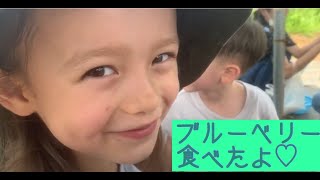 大桑マイミ　【ブルーベリー狩り】家族でおでかけ♡