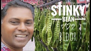 Stinky Bean (Petai) of Bidor Malaysia Local tour guide