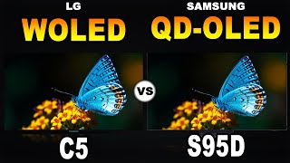 LG C5 vs Samsung S95D OLED – Picture Quality, Gaming & More!