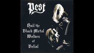 Pest : Satanic Winter