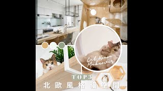 TOP3居家改造案例分享 | 北歐風格貓空間 | MYZOO動物緣