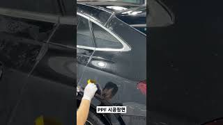 차 도장면 보호하는방법 알려드립니다. 생활보호ppf시공과정 및  꿀팁 대방출
