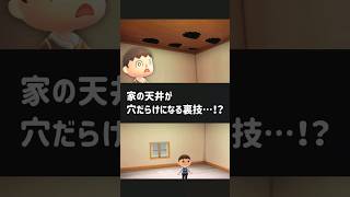 【あつ森】家の天井が穴だらけになる裏技…！？【小ネタ】