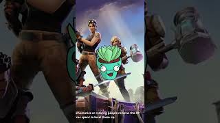 What is Fortnite founders edition?