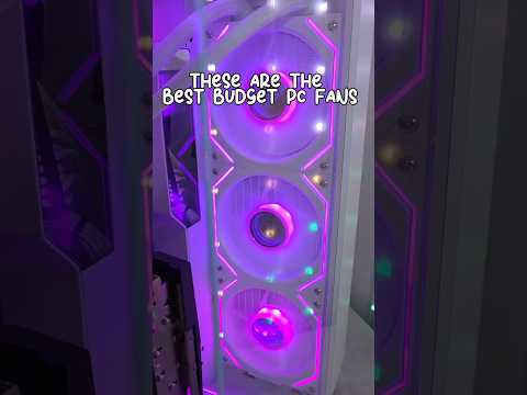 These budget Rgb fans will make you look boujee 🥰