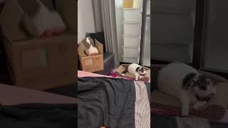 大哥一臉問號