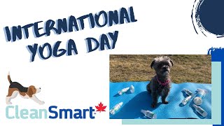 CleanSmart Canada | International Yoga Day