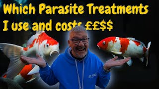 KOI POND**PARASITE TREATMENTS AND HOW I USE THEM🤔**POND TEMPS**KOI FISH PRICES BUT CAN I TELL YOU😮😉