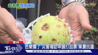 芭樂爛了 災害補助申請打回票 果農抗議｜TVBS新聞