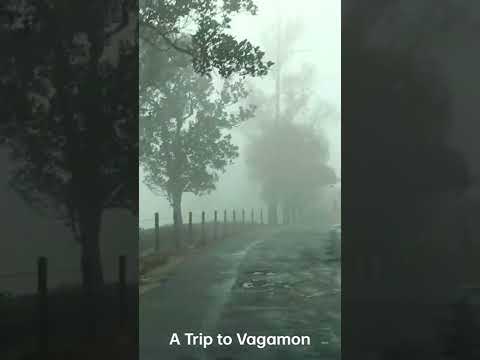 Full Video Uploaded in Channel  #vagamonresorts #budgetfriendly #Hillviewresorts