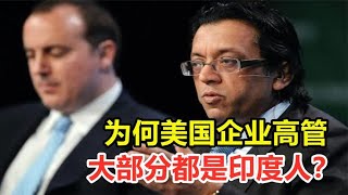 印度人制霸硅谷？为何美国企业高管，大部分都是印度人？