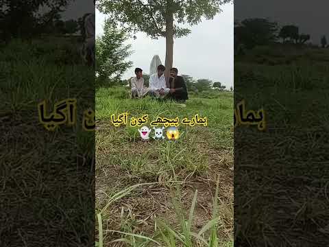 بھوت 😭😂#funny #entertainment #scarystories #jungle