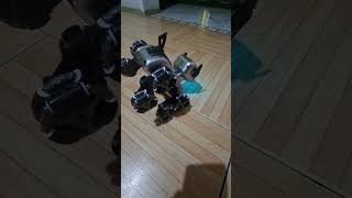 Robot Dog Rc toys