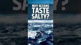 Why Is Ocean Water So Salty? #OceanFacts #MindBlown #DidYouKnow #CuriosityShorts #FunScience #shorts