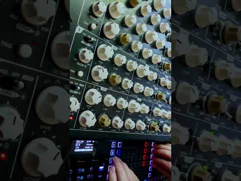 Oxi One MkII and Vermona Perfourmer