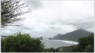 東部台11線之美