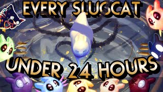 How I Beat EVERY Slugcat in UNDER 24 Hours
