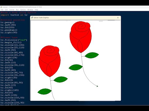 Python Red Rose creation 🌹 (Behind the scenes) #python #rose #programming