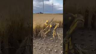 Robots Harvesting | Rice Intelligence Robots can also work #shorts #viral #trending