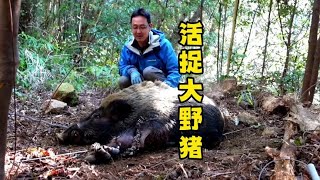 #国外合法狩猎 #dou来安利纪录片 #纪录片充电计划 #纪录片解说
