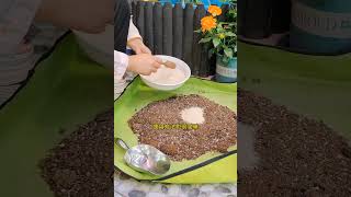 骨粉养花你用对了吗？