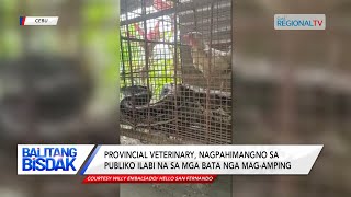 Binuhing sawa nga may gitas-on’g 16 ka tiil, naka-eskapo sa halwa sa San Fernando | Balitang Bisdak