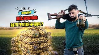 用土豆做掩體，能抗住機槍子彈嗎？ #科學實驗 #科學試驗 #格蘭特 #亞當 #傑米