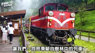 【嘉義】阿里山小火車