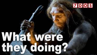 Archaeologists Discover Massive Neanderthal 'Fat Factory'