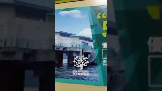 WWF 西貢海下灣海下村生態遊，大埔元洲仔自然環境保護中心，米埔保護區 #生態遊