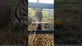 I love animals #animalloversclub