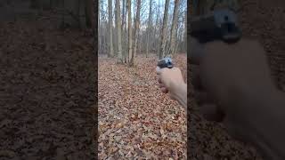 Ruger .380 LCP plinking #Fall #shooting #ruger #lcp