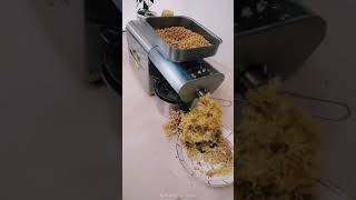 袖珍榨油机，功能强大