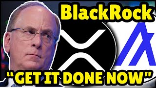 BlackRock Urges SEC to REGULATE: Big Winners Could be XRP And Algorand