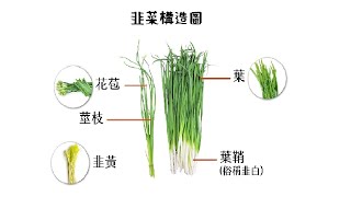 20240109 解大盤、有人敲碗：【鈺齊、晶心科、擎亞、廣寰科、訊達。】