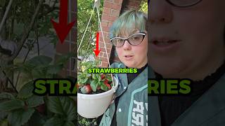 The Best Strawberry Hack 🍓