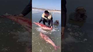 Why This Man Breaks a Frozen River Will Blow Your 😱👀 #shorts #youtubeshorts #viralvideo