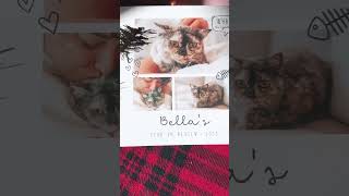 Gift ideas for pet lovers 🐶❤️  #petlovers #giftideas #shorts