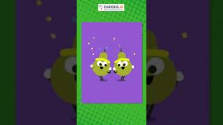 Create LCM Finder App | CuriousJr