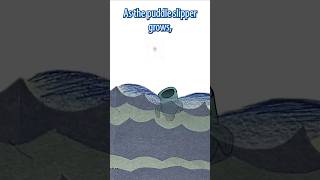 Puddle Sipper - Sea Eater stages of LIFE