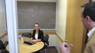LMX Theory