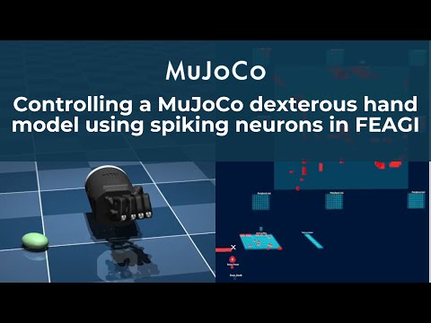 Controlling a MuJoCo Dexterous Hand Model Using Spiking Neurons in FEAGI