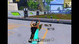 新版本双持巨蟒手枪是不能使用突击盾牌的 #和平精英 #和平精英体验服 #和平精英双持巨蟒手枪