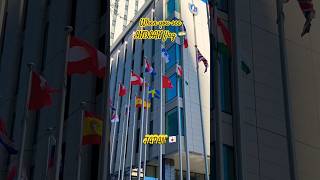 #tokyolife #lifeofforeignworker #travel #minivlog #dailyvlog #japan #workingmoms #flag #viralvideo