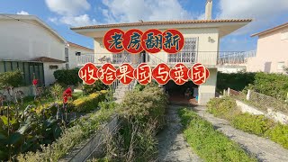老房翻新第一天，先简单收拾一下果园和菜园。