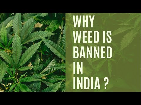 The Forbidden Green: Why Weed is Banned in India
