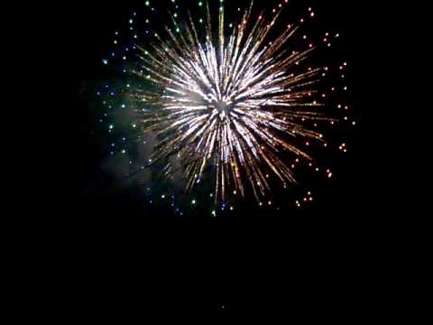 隅田川花火大会2010「天空に咲く新下町慕情」