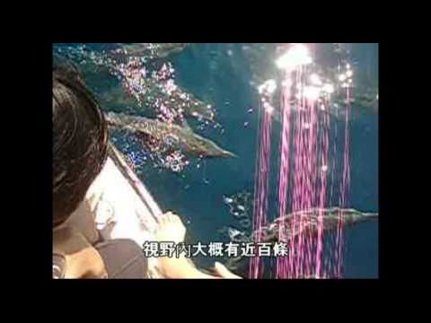 出海影片~(東華大學,海島與海洋課程)