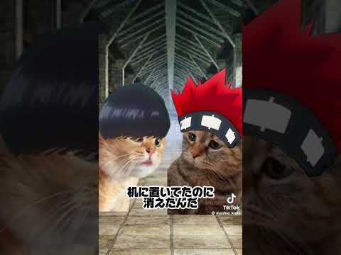 猫ミーム&マッシュル