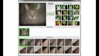 AverageExplorer: Interactive Exploration and Alignment of Visual Data Collections